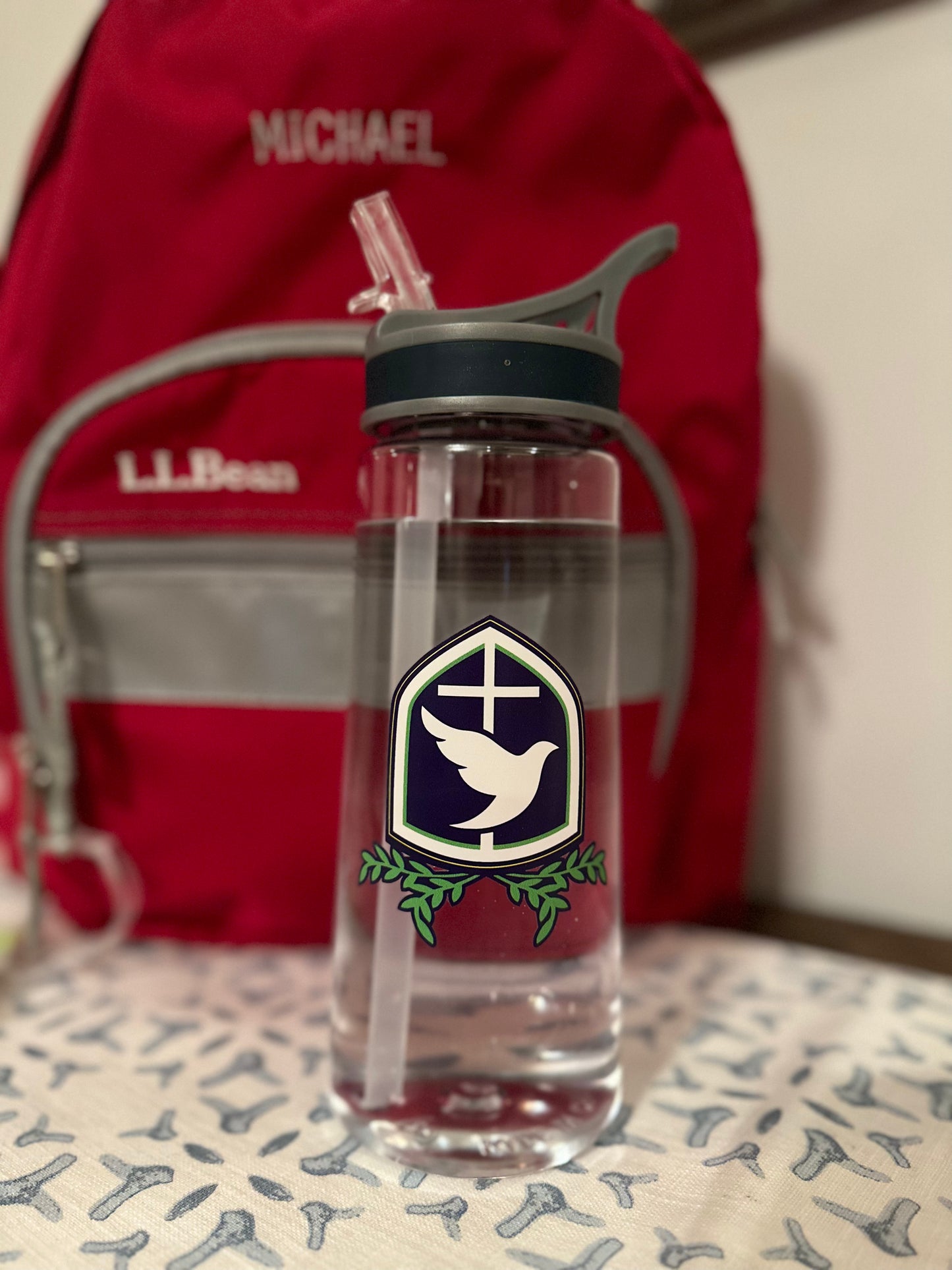 Saint Bridget 22 oz. Sports Water Bottles with Straw
