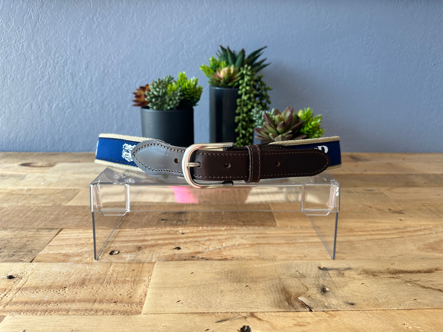 Saint Bridget Signature Ribbon Belt (Vintage)